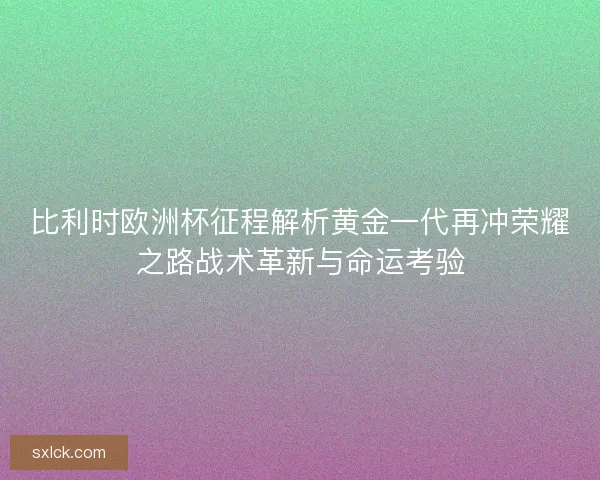比利时欧洲杯征程解析黄金一代再冲荣耀之路战术革新与命运考验